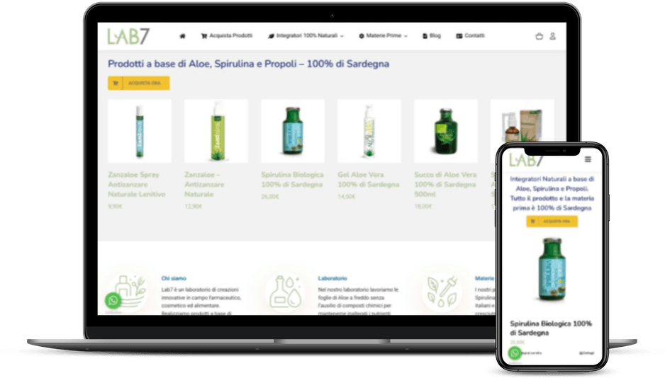 Web Marketing Ecommerce Sardegna